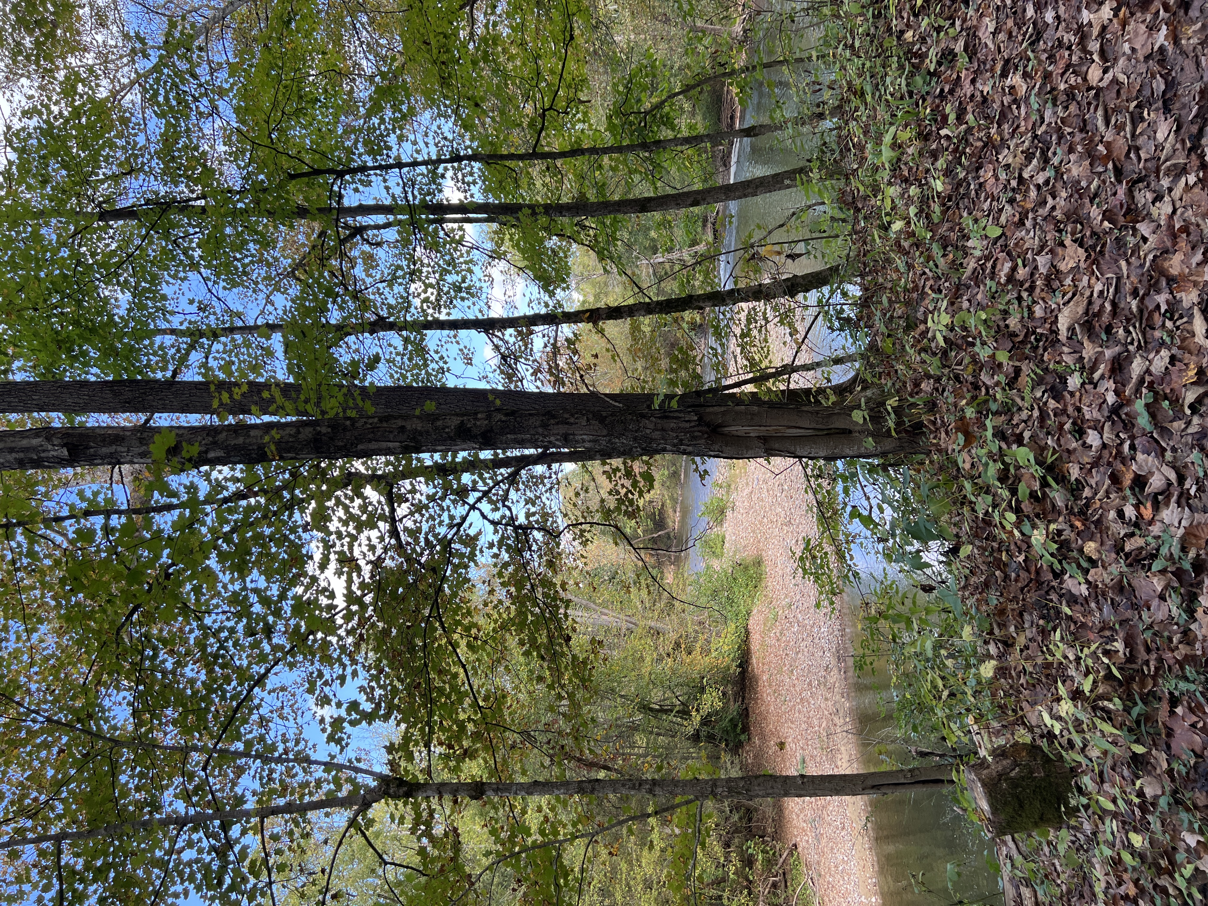 ./2025/11 - Nashville Trip/IMG_7359.JPG